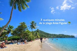 Abricotier à proximité des plages du sud - 0