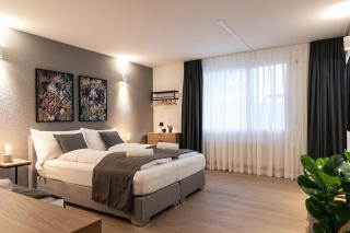 Spirit Apartments - 6BR Villa Luzern - Sauna Spa - Parking - Mountain View - Emmen - 1