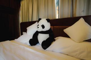Wood Panda Luxury Resort Wayanad - 7