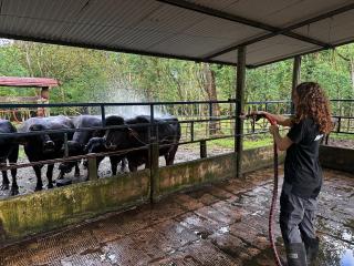 Camping Los Búfalos - 9