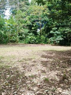 Camping Los Búfalos - 8