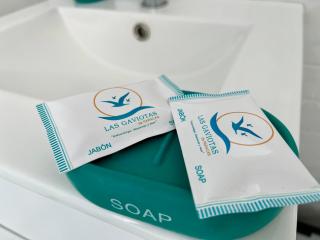 LAS GAVIOTAS DE PARACAS - 8