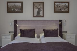 Hotel Jägerhof Mayrhofen - Mayrhofen - 8