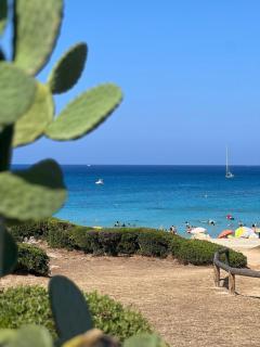 T4-80m2 superbe vue mer Sant Ambroggio - Lumio - 3