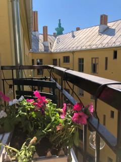 Apartment with high ceilings, beautiful light - 8