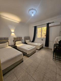 Appartement met twee slaapkamers B - Chefchaouen - 9