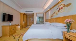 Vienna Hotel Wuhan Huazhong Normal University Huquan Metro Station - 1