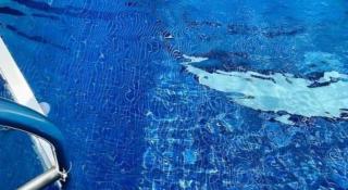 Hongfeng Hotel Nanshan Branch - 7