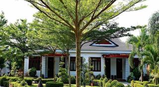 Forever Green Resort - 5