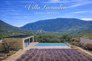 Villa Lavandea - Ventoux Provence - 7