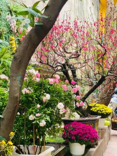 Carol Hanoi Oldquarter Hoan Kiem - 6