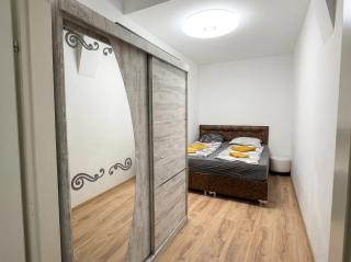 Comfortable 1BR & 1LR Apt Prime location of Vienna - 8