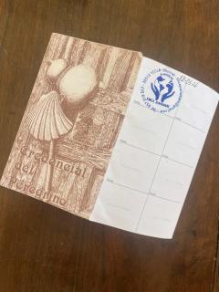 Casa Rural Finca Juanamare - Yecla - 9