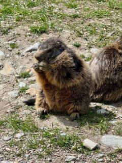 Mountain Bliss Duplex - Saas Fee - 7