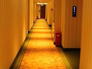 Wilson Holiday Hotel - 2