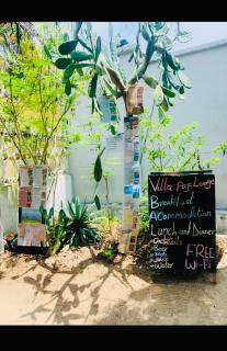 Paje lounge - Paje - 8