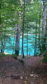 Chalet Bella Rosa - 6