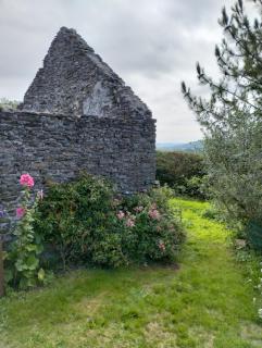 The Chicken House - 1