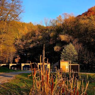 "Rózin Pstrągarnia" domki całoroczne Jura Krakowsko-Częstochowska - 6