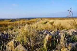 Ferienhaus Einfach Spitze - 9