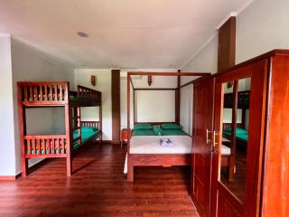 Asim Paris Guesthouse & jungle trekking - 8