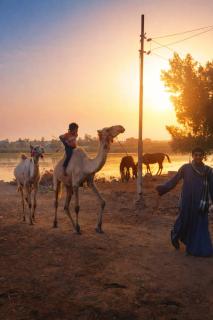 Apart Center West Bank - 1