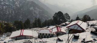 Jungle Woods Homestay - 6