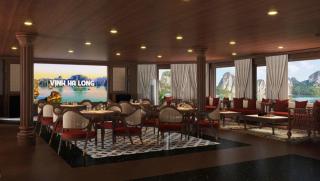 Cycad Grand Cruise - 6