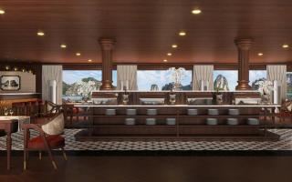 Cycad Grand Cruise - 4