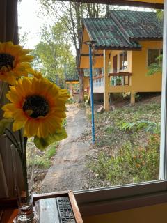 Wild hippie Chang - 5