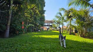 Torre Bella Gardens - Arco da Calheta - 6