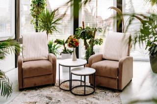 Apartament PREMIUM z ruską banią, kominkiem i oranżerią w centrum - 9