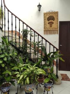 Mesones Casa Rural - 6