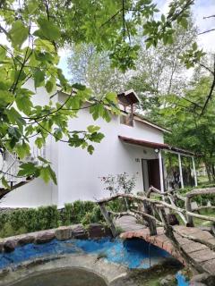 Semerana Riverside Hotel Gabala - 9