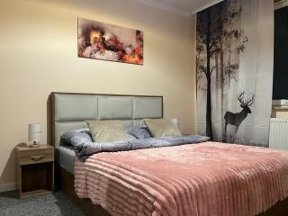 Apartament Wiktoria Zawiercie - 7