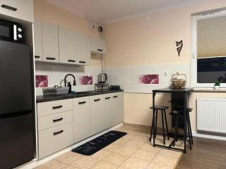 Apartament Wiktoria Zawiercie - 3