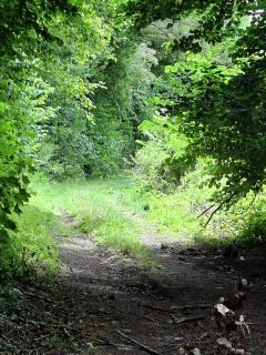 La Petite Maison - 1