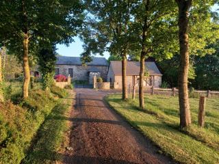 Le mélèze, dans la baie du Mont-Saint-Michel - 8