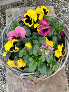 BelleVie Apartment, Eijsden-Maastricht - 6