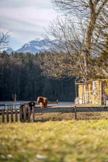 Ferienheim Riedhof - 7
