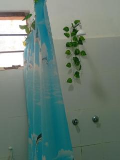 SeaRenity Place Diani - 1