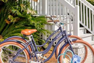 Palmettos & Sunshine - 5