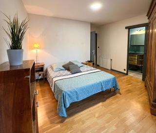 Appart Hôtel Ambert - 9