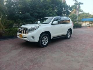 Rabbit Car Safari - 0