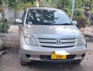 Rabbit Car Safari - 8