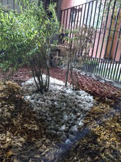 Casa céntrica en San Felipe - 6