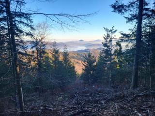 JASZCZURÓWKA pod Leskowcem - 8