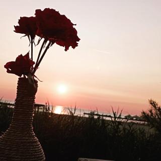 Camping L'Arcobaleno - 4