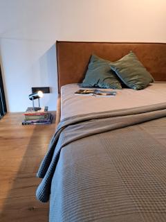 Center stay Kaunas - Peledyne - Owl's nest apartments - Kaunas - 8