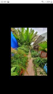 Maison des oiseaux - 4